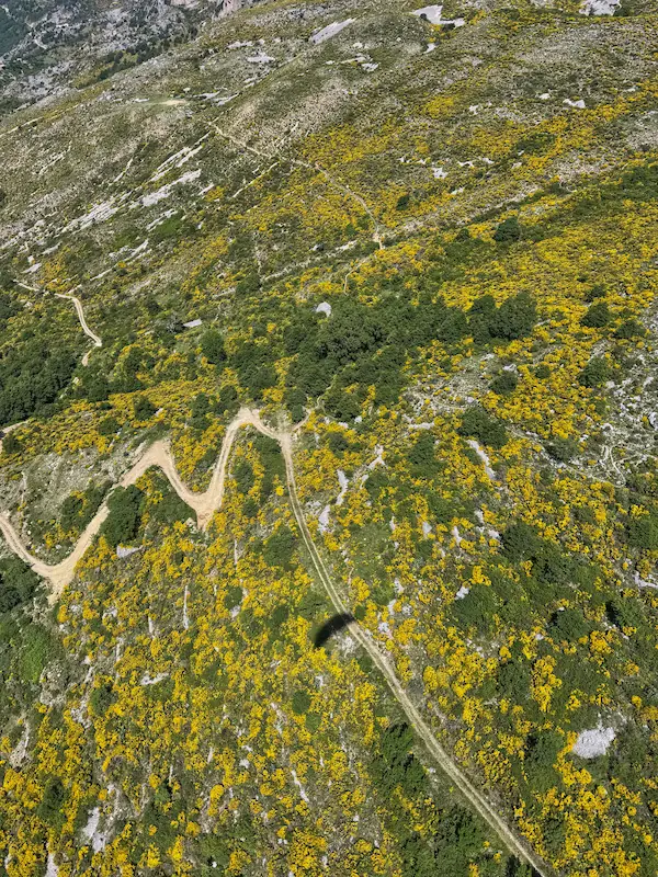 The shadow of a paraglider cast upon the hillsides covered in flowering broom whilst flying a cross-country flight